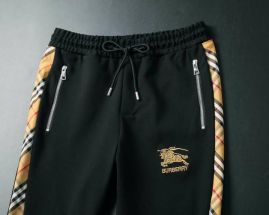 Picture of Burberry SweatSuits _SKUBurberryM-4XL24cn17427481